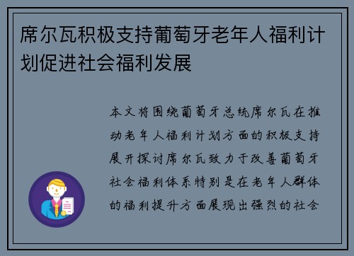 席尔瓦积极支持葡萄牙老年人福利计划促进社会福利发展