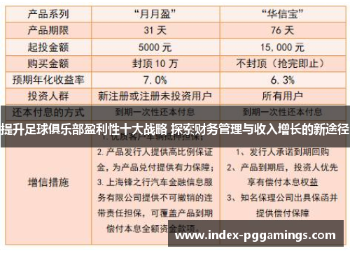 提升足球俱乐部盈利性十大战略 探索财务管理与收入增长的新途径