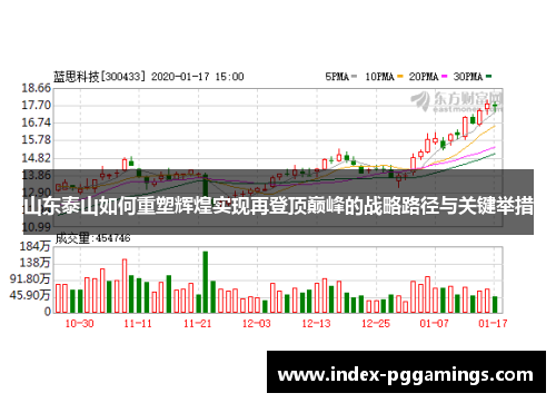 山东泰山如何重塑辉煌实现再登顶巅峰的战略路径与关键举措