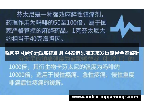 解密中国足协新规实施细则 44家俱乐部未来发展路径全景解析