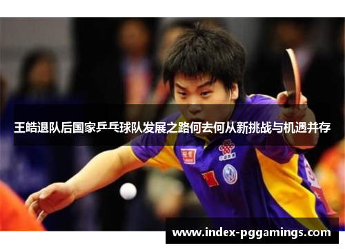 王皓退队后国家乒乓球队发展之路何去何从新挑战与机遇并存