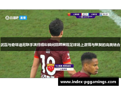 武磊与奇塔迪尼联手演绎精彩瞬间回顾展现足球场上激情与默契的完美结合