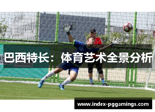 巴西特长：体育艺术全景分析