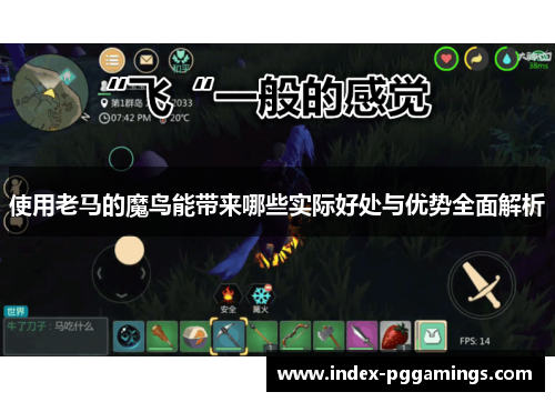 使用老马的魔鸟能带来哪些实际好处与优势全面解析 使用老马的魔鸟能带来哪些实际好处与优势全面解析