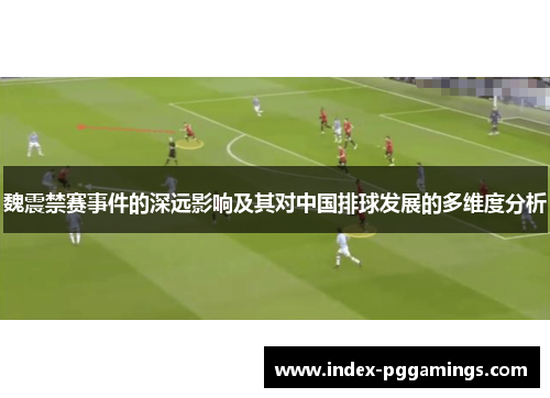 魏震禁赛事件的深远影响及其对中国排球发展的多维度分析
