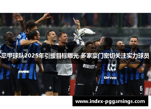 意甲球队2025年引援目标曝光 多家豪门密切关注实力球员