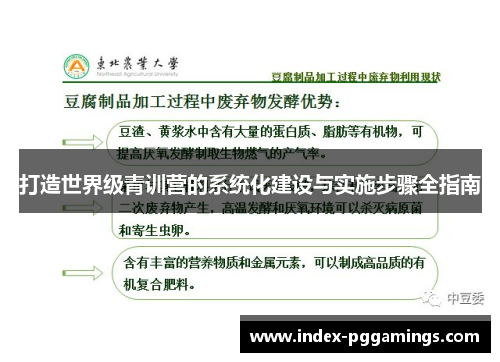 打造世界级青训营的系统化建设与实施步骤全指南