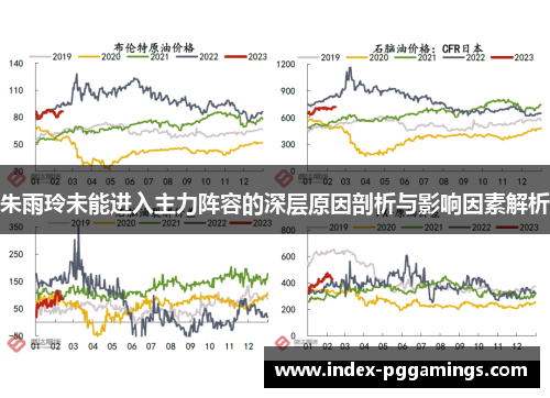 朱雨玲未能进入主力阵容的深层原因剖析与影响因素解析