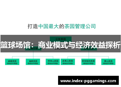 篮球场馆:商业模式与经济效益探析 篮球场馆:商业模式与经济效益探析